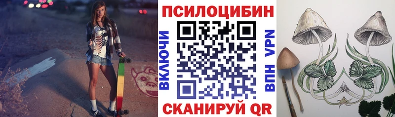 Псилоцибиновые грибы Cubensis  Сорск 
